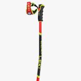 leki-wcr-gs-3d-2302