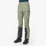 asnes-hovde-2401