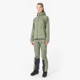 asnes-hovde-2403