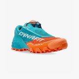 dynafit-feline-sl-trail-blue-2402