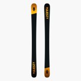 majesty-dirty-bear-xl-2502